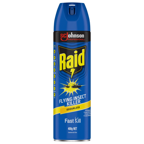 RAID Odourless Insect Spray 400g