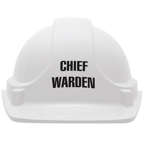 3M Safety Helmet ABS White Chief Warden 